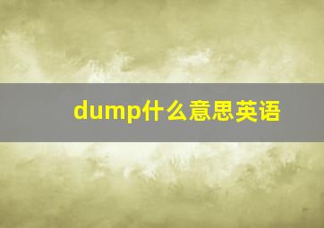 dump什么意思英语