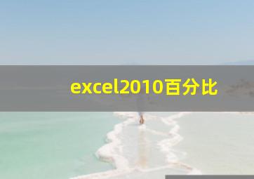 excel2010百分比