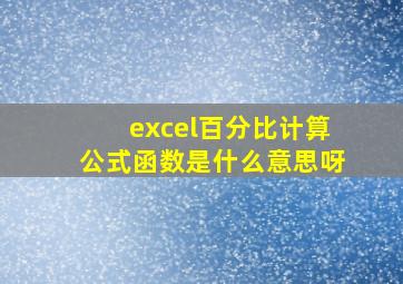 excel百分比计算公式函数是什么意思呀