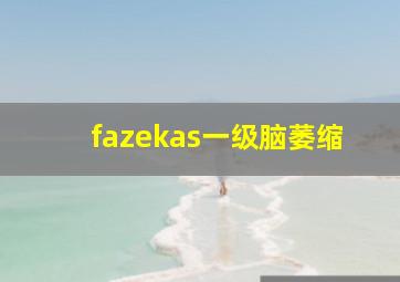 fazekas一级脑萎缩