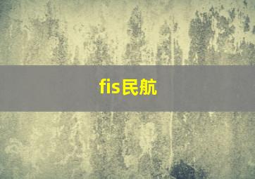 fis民航