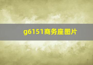 g6151商务座图片