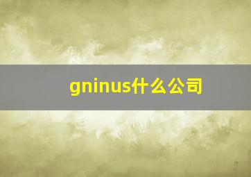 gninus什么公司