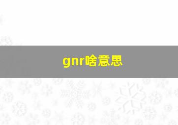 gnr啥意思