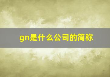 gn是什么公司的简称