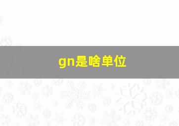 gn是啥单位