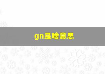 gn是啥意思