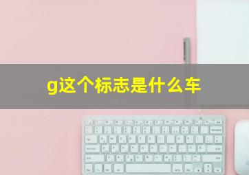 g这个标志是什么车