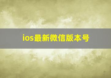 ios最新微信版本号