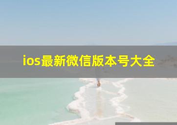 ios最新微信版本号大全