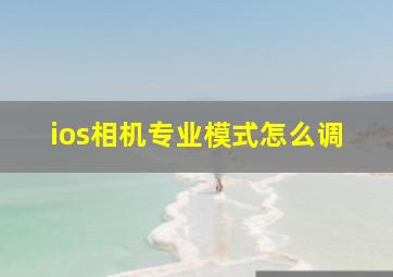 ios相机专业模式怎么调