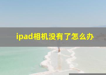 ipad相机没有了怎么办