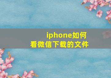 iphone如何看微信下载的文件