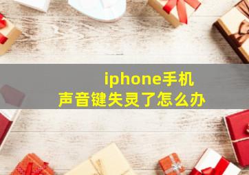 iphone手机声音键失灵了怎么办