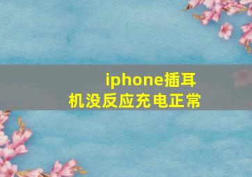 iphone插耳机没反应充电正常