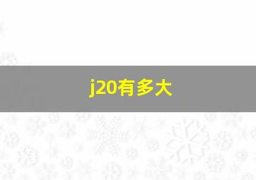 j20有多大