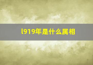 l919年是什么属相