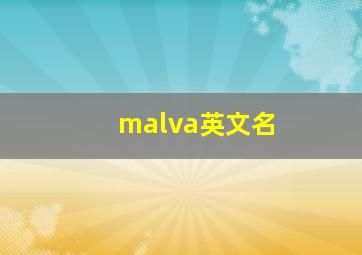 malva英文名