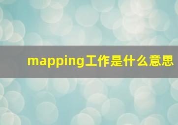 mapping工作是什么意思