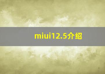 miui12.5介绍