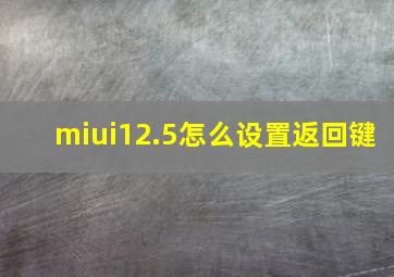 miui12.5怎么设置返回键