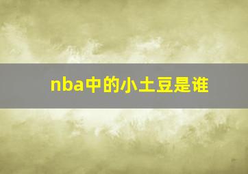 nba中的小土豆是谁