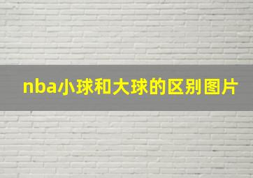 nba小球和大球的区别图片