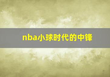 nba小球时代的中锋