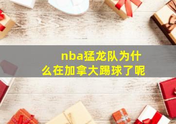 nba猛龙队为什么在加拿大踢球了呢