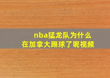 nba猛龙队为什么在加拿大踢球了呢视频