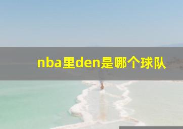 nba里den是哪个球队