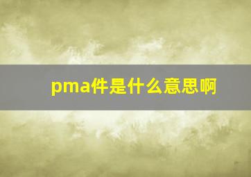 pma件是什么意思啊