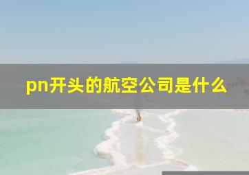 pn开头的航空公司是什么