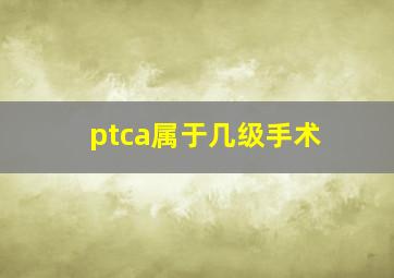 ptca属于几级手术