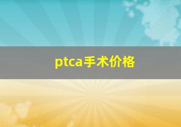 ptca手术价格