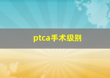 ptca手术级别