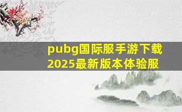 pubg国际服手游下载2025最新版本体验服