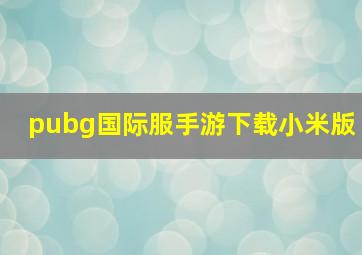 pubg国际服手游下载小米版