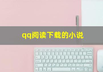 qq阅读下载的小说