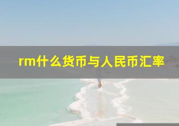 rm什么货币与人民币汇率