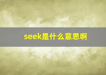 seek是什么意思啊