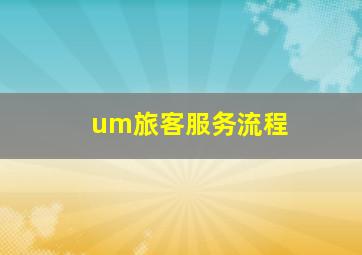 um旅客服务流程