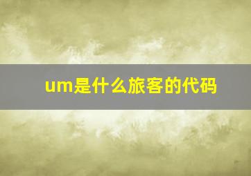 um是什么旅客的代码