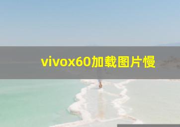 vivox60加载图片慢