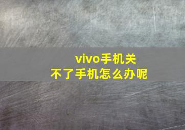 vivo手机关不了手机怎么办呢