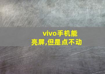 vivo手机能亮屏,但是点不动