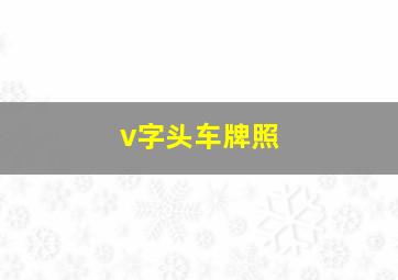 v字头车牌照