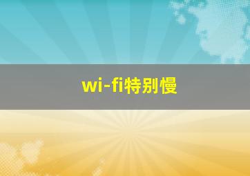 wi-fi特别慢