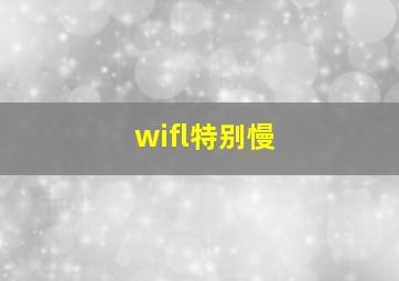 wifl特别慢