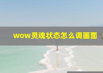 wow灵魂状态怎么调画面